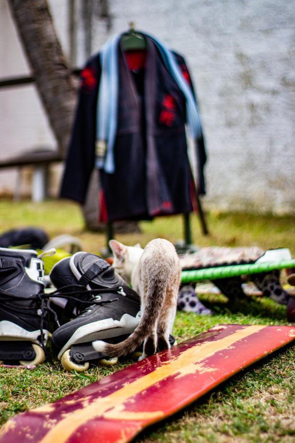 Gato Do Mato Hostel Cumbuco Zewnętrze zdjęcie